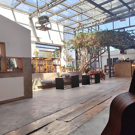 Dali Loft Travelling With Hostel Eksteriør billede